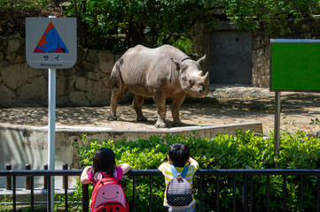 Children visiting rhinoceros in the zoo © C