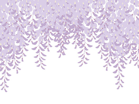 3 693 Best 藤の花 Images Stock Photos Vectors Adobe Stock