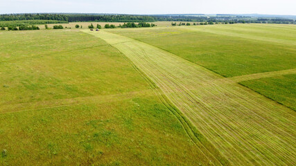 The harvester removes grass from the fields. View from above