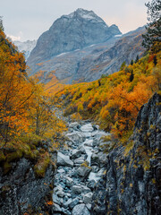 Rocky mountains and autumnal fall trees. Mountain landscape with river