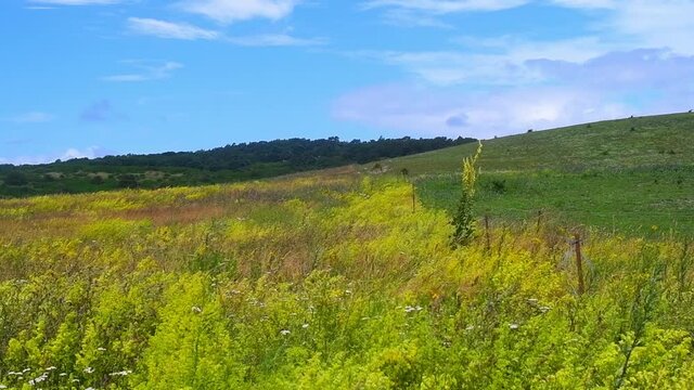 Camera Panning Over Green Meadows, Blue Sky