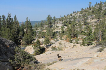 hiking in the mountains