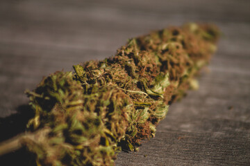 Brote de flor de cannabis, marihuana