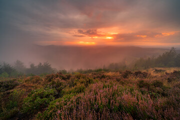 Foggy sunset on a mountain top in the black forest