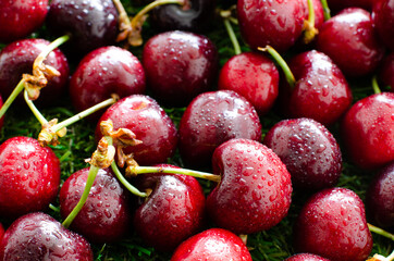 red fresh cherries on green grass, close view