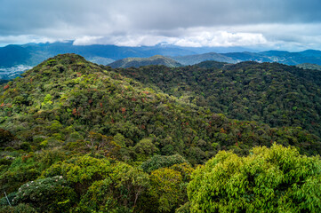 Obraz premium jungle landscape from the top of the mountain