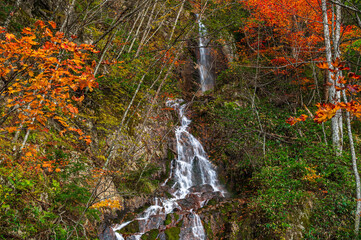 秋の中房渓谷　たる沢の滝