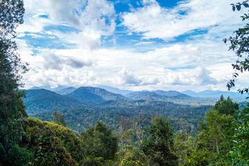 Obraz premium mountain and jungle landscape with clouds