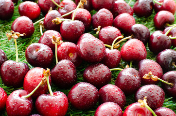 red fresh cherries on green grass, close view