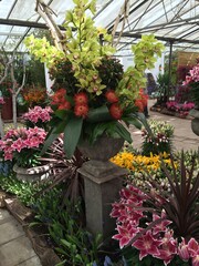 Flowers at Chateau Grand Bigard, Belgium