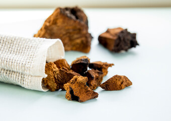 Side view of wild natural chaga mushroom, Inonotus obliquus powder and pieces for making tea and coffee on light blue background. Healthy herbal plant based medicinal food supplement concept.