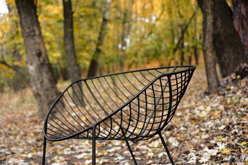 Black wireframe chair in public park. Metal garden chair. Autumn background.
