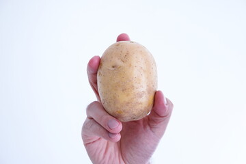 Whole raw potato held by Caucasian male hand close up shot isolated on white