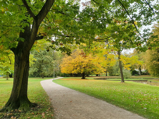 Parkweg im Hofgarten Bayreuth führt am Laubbaum mit gelben Blättern vorbei entlang eines Bachlaufs im Hofgarten Bayreuth. 2020. Perspektive 2