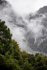 Fototapeta na wymiar Beautiful foggy landscape in the mountains. trees in swiss mountains after raining. Switzerland