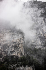 Fototapeta na wymiar Beautiful foggy landscape in the mountains. trees in swiss mountains after raining. Switzerland