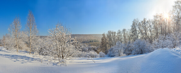 Panorama of snowy winter forest in mountain - wonderful walk