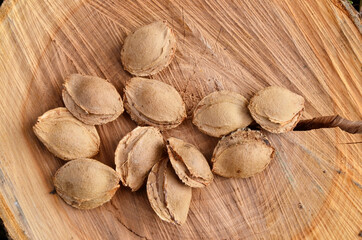 Apricot seeds.  The seeds of fruit plants lie on a wooden textured surface. Seeds in hard shells