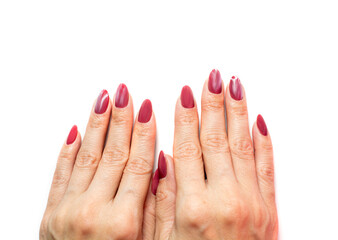 female hands with painted nails isolated on white background.