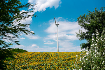 Wind power plant with yellow sunflowers and blue cloudy sky in the background. Clean energy with...