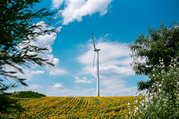 Wind power plant with yellow sunflowers and blue cloudy sky in the background. Clean energy with...