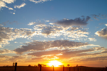 Pasto - Campo - Gado - Boi - Vaca - Plantação - Por do Sol - Sitio - Fazenda