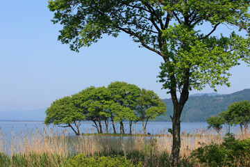 水鳥公園