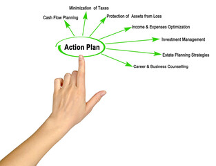 Seven components of Action Plan