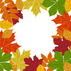 Autumnal frame of colorful fall leaves with text space