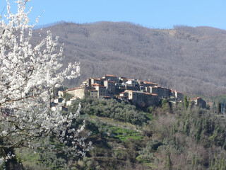 Panorama of Castelvecchio village, province of Pistoia . Tuscany, Italy