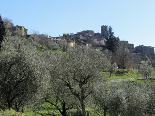 Panorama of Sorana village, province of Pistoia . Tuscany, Italy