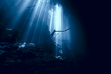 underwater cave stalactites landscape, cave diving, yucatan mexico, view in cenote under water