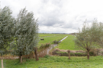 Farmland in Abcoude, The Netherlands