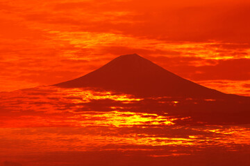 富士山と雲海