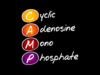 CAMP - Cyclic Adenosine MonoPhosphate acronym, medical concept background