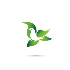Logo dove bird leaves icon vector