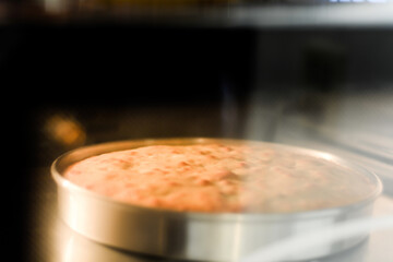 Cake baked in oven.