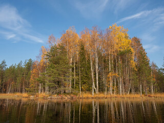 Trees with colorful foliage in autumn on a sunny day near the lake