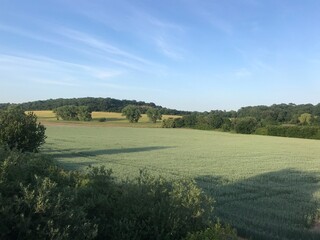 Fototapeta na wymiar Open field in the Kent countryside, United Kingdom