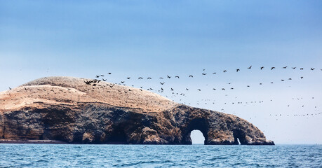 ocean, island and flock of birds on sunny day