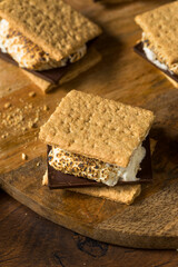 Homemade Gooey Marshmellow Smore