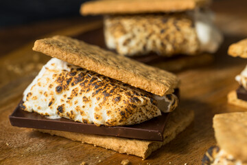 Homemade Gooey Marshmellow Smore