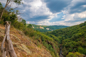 Vast mountain landscape with hills and forest