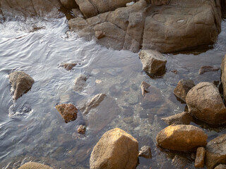 海辺の潮だまり