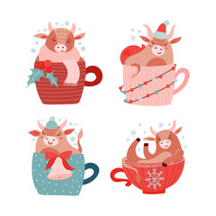 Baby cow or bull cute characters set. Symbol of 2021 year ox sitting with holly berry, bell and light garland in red cup for hot drink with a snowflake. Christmas, New Year, winter holiday animal.