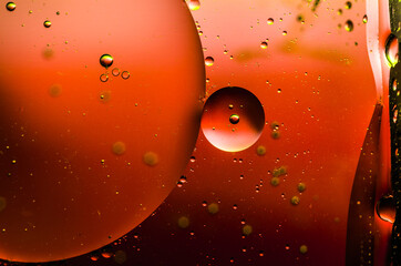 Macro photo of oil bubble on the water