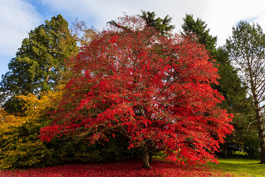 Beautiful autumn colours