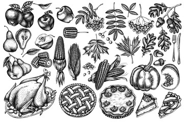 Vector set of hand drawn black and white pumpkin, fork, knife, pears, turkey, pumpkin pie, apple pie, corn, apples, rowan, maple, oak