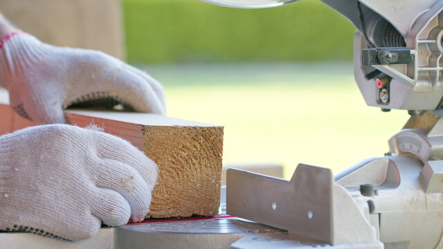 carpenter in protective gloves precisely sets wooden workpiece into mitre saw and mitres bar. Circular saw blade in motion, pine sawdust flying. fine annual rings on wood appear under saw