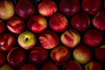 Fresh ripe organic nectarines the view from the top.